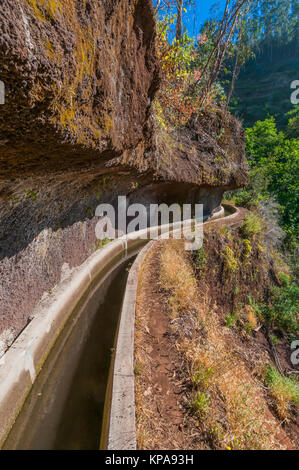 Levada Wanderung durch eine felsfrÃ ¤ im Osten Madeiras gesungen - levada dos Tornos Camacha Stockfoto
