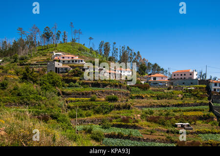 Levada Wanderweg vorbei an Bergdörfern mit Terrassen Felder im Osten Madeira - levada dos Tornos Camacha Stockfoto