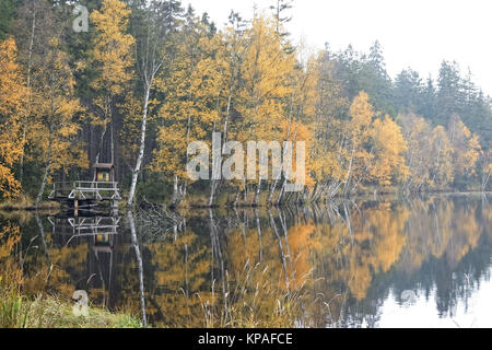 Bäume am Ufer des Sees im Herbst Stockfoto