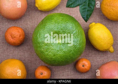 Ansicht von oben auf der ganzen Zitrusfrüchte Sortiment auf natürliche sacking Material als Hintergrund verwendet. Sortiment umfasst Zitronen, Orangen, Mandarinen oder Tangerine Stockfoto