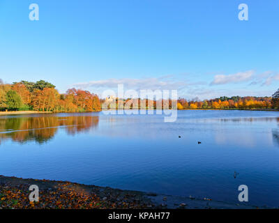 Eine klare Herbst Tag über einen See mit wollaton Hall in der Ferne suchen. Stockfoto