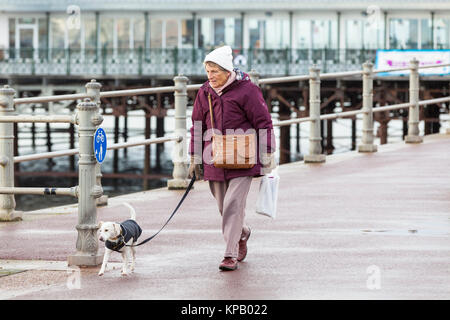 Hastings, East Sussex, UK. 15. Dezember 2017. Viele Leute unterwegs und heute Morgen im Hastings Strandpromenade trotz des kühlen Bedingungen. Derzeit ist es 4 Grad und Regen wird später erwartet. Eine ältere Frau mit ihrem Hund zu Fuß entlang der Strandpromenade. Foto: Paul Lawrenson/Alamy leben Nachrichten Stockfoto