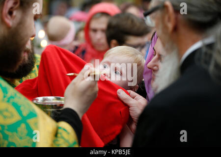 Belarus, Gomel Stadt, St. Nikolaus Kloster, einer religiösen Orthodoxen Ferienwohnung "Palm Sonntag 19.06.2016 Jahr. Unbekannt Kind führt der Ritus der Gemeinschaft. Stockfoto