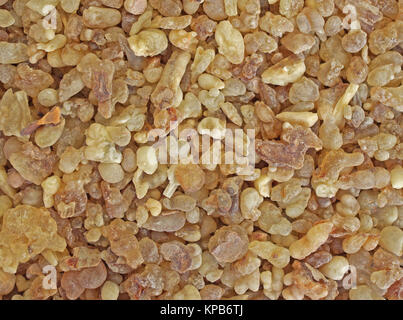 Weihrauchharz angeboten zu einem Souk in Dhofar (Oman) Stockfoto