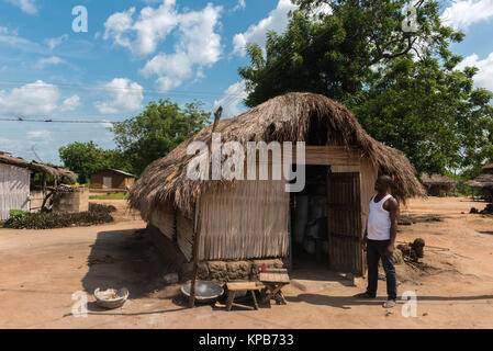 Laden Säcke von Gari zu verschiedenen lokalen Märkte, Dorf in der Nähe von Mafi-Kumase, Volta Region, Ghana, Afrika transportiert werden. Stockfoto