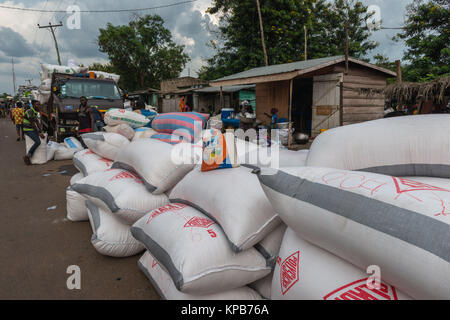 Laden Säcke von Gari zu verschiedenen lokalen Märkte, Dorf in der Nähe von Mafi-Kumase, Volta Region, Ghana, Afrika transportiert werden. Stockfoto