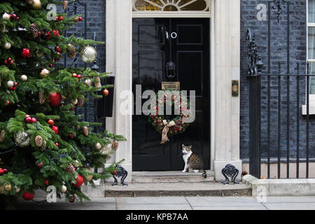 London, Großbritannien. 5. Dezember, 2017. Larry, der Downing Street cat, sitzt außerhalb Nr. 10 während der Sitzung. Stockfoto