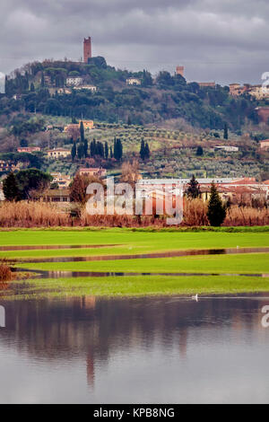 Überschwemmungen in San Miniato, Pisa, Toskana, Italien Stockfoto