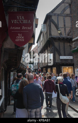 The Shambles in York. Stockfoto