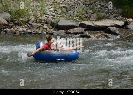 Junge Frau Abkühlung im Sommer durch innere Schläuche mit ihrem Hund in Clear Creek bei Clear Creek White Water Park in Golden Colorado Stockfoto