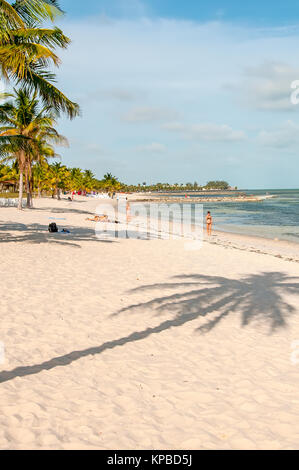 Weißer Sand Smathers Strand mit Palmen, Key West, Florida Stockfoto