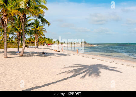 Weißer Sand Smathers Strand mit Palmen, Key West, Florida Stockfoto