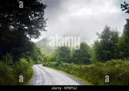 Schlechte Wetter über der Straße durch Wald und Felder in Dingle, Irland. Die Berge in der Ferne. Stockfoto