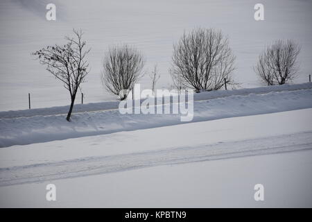 Kirchberg in Tirol Langlaufloipe Brixental Tirol Stockfoto