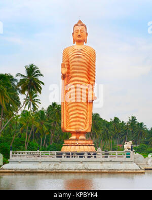 Buddha-Statue in Sri Lanka Stockfoto