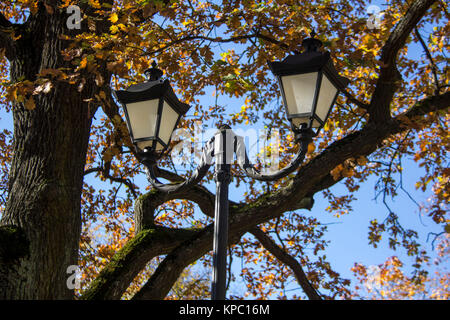 Riga Kanal im Herbst, der durch sie fließt Bastion Hill Park (Bastejkalns). Lettland Stockfoto