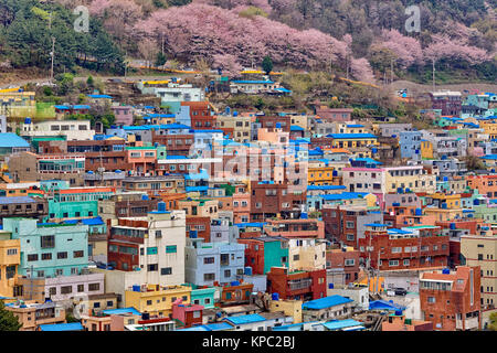 Gamcheon Culture Village Stockfoto