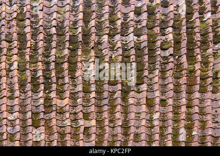 Alten grunge bemoosten Ziegeldach Textur Stockfoto