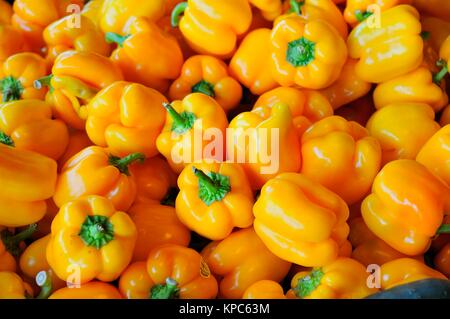 Closeup Schuss frische rohe gelbe Paprika. Stockfoto