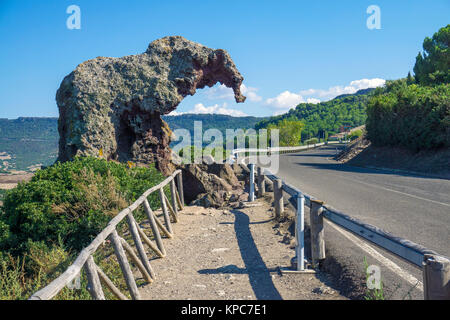 Elephant Rock, touristische Attraktion bei Castelsardo, Sardinien, Italien, Mittelmeer, Europa Stockfoto