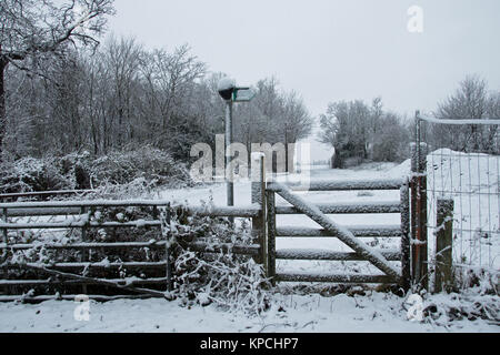 Dezember Schnee - Sturz auf einem Zaum in Iver Heath, Buckinghamshire. Stockfoto
