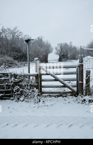 Dezember Schnee - Sturz auf einem Zaum in Iver Heath, Buckinghamshire. Stockfoto