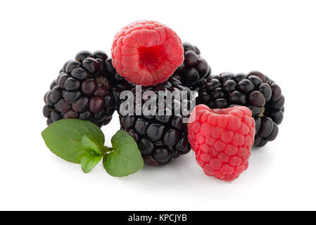 Himbeere mit Blackberry Stockfoto