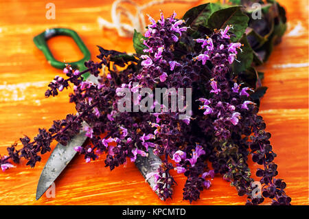 Blumenstrauß aus hieben Zweige von duftenden Lavendel auf vintage Hintergrund Stockfoto