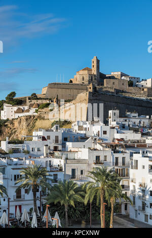 Ibiza Stadt und der Kathedrale Santa Maria d'Eivissa, Ibiza, Balearen, Spanien. Stockfoto