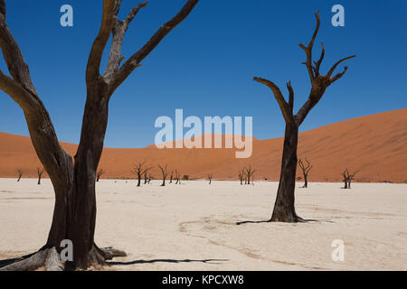 Dead Vlei Stockfoto