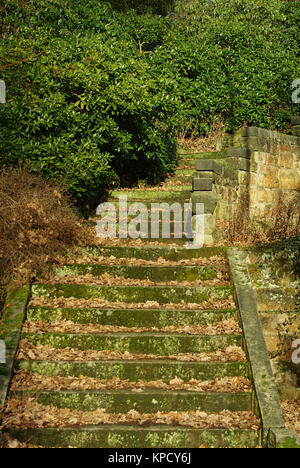 Alte Steintreppe in einem romantischen Park Stockfoto
