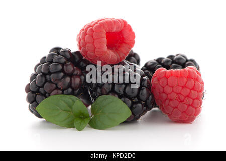 Himbeere mit Blackberry Stockfoto