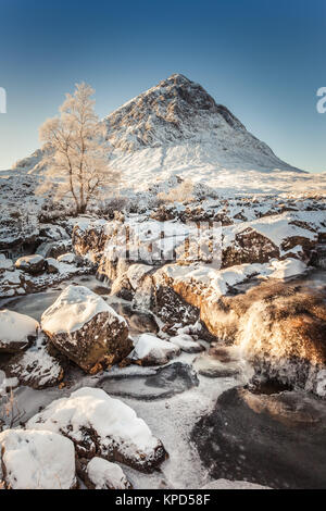 Buachaille Etive Mor, Highlands Schottland Großbritannien Stockfoto