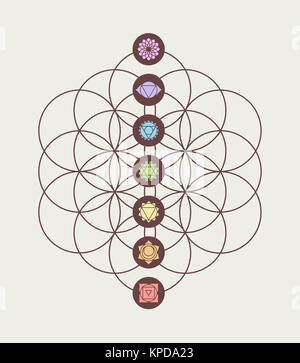 Chakra Symbole auf Blume des Lebens modernes Design Stockfoto