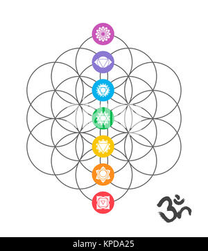 Bunte chakra Symbole auf der Heiligen Geometrie Design Stockfoto