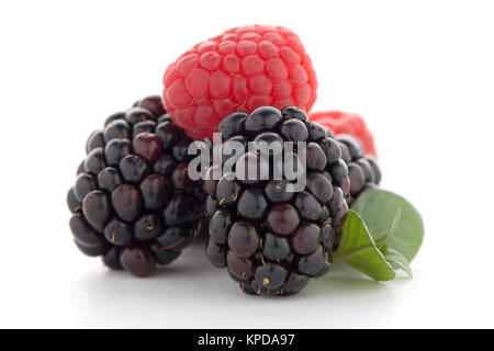 Himbeere mit Blackberry Stockfoto