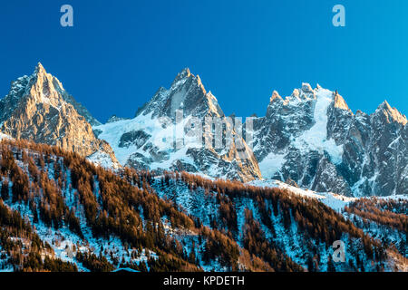 Alpengipfel in Chamonix Mont Blanc. Die felsigen Gipfel sind im Abendlicht. Lärchen am Hang. Stockfoto