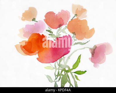 Malerei Aquarell Mohnblumen Stockfoto