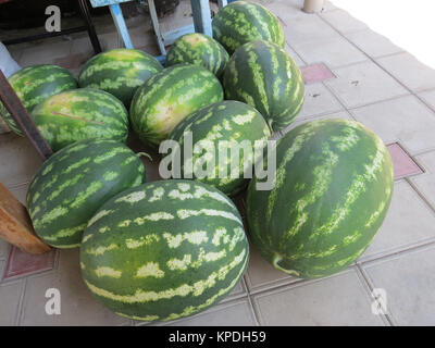 Die Ernte der Wassermelonen in Hof auf die Fliese Stockfoto