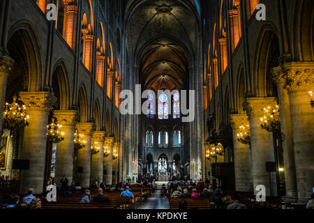 Die gotische interor, Kirchenschiff und die Bänke der mittelalterlichen Kathedrale Notre Dame de Paris auf der Île de la Cité in Paris Frankreich Stockfoto