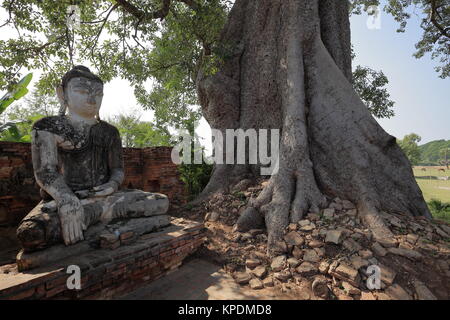 Buddha-Statuen in Myanmar Stockfoto