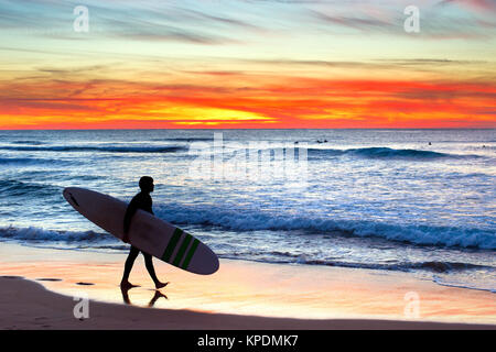 Silhouette eines Surfers Stockfoto