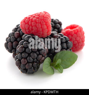 Himbeere mit Blackberry Stockfoto