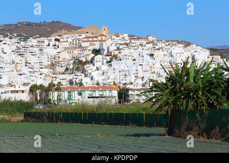 Die maurische Burg aus dem 10. Jahrhundert in der Altstadt von Salobreña (Provinz Granada) an der Costa Tropical in Spanien Stockfoto