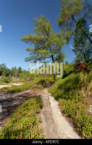 Schwefelhaltige Seen in der Nähe von Manado, Indonesien Stockfoto