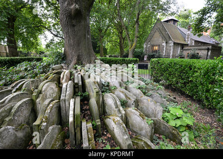 Die Hardy Baum, zwischen Grabsteine wachsenden bewegt, während Thomas Hardy war Gräber in St. Pancras Old Church, London zu bewegen. Stockfoto