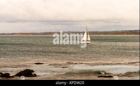 Segeln Segeln in Monterey Bay bei bedecktem Himmel Stockfoto