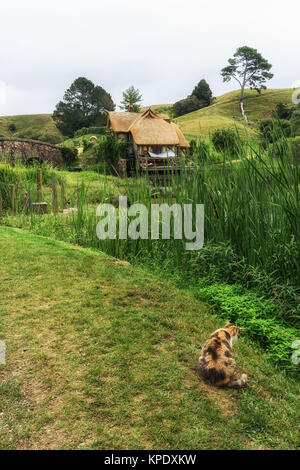 Hobbiton mill mit cat Stockfoto