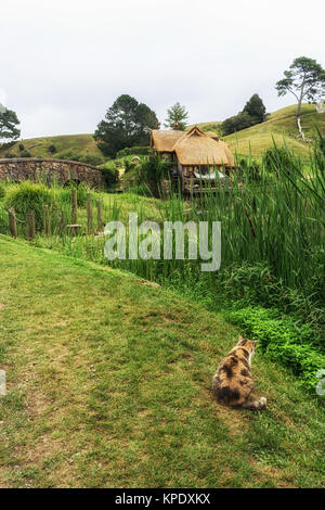 Hobbiton mill mit cat Stockfoto