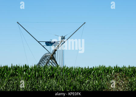 Große seitliche Bewegung Bewässerungssystem Stockfoto